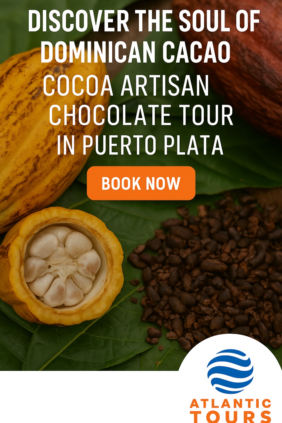 Puerto Plata and Cacao: More Than Chocolate, A Living Heritage